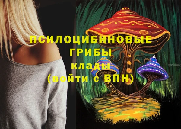 ECSTASY Киреевск