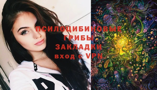 ECSTASY Киреевск