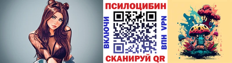 Галлюциногенные грибы Psilocybine cubensis  Ачинск 
